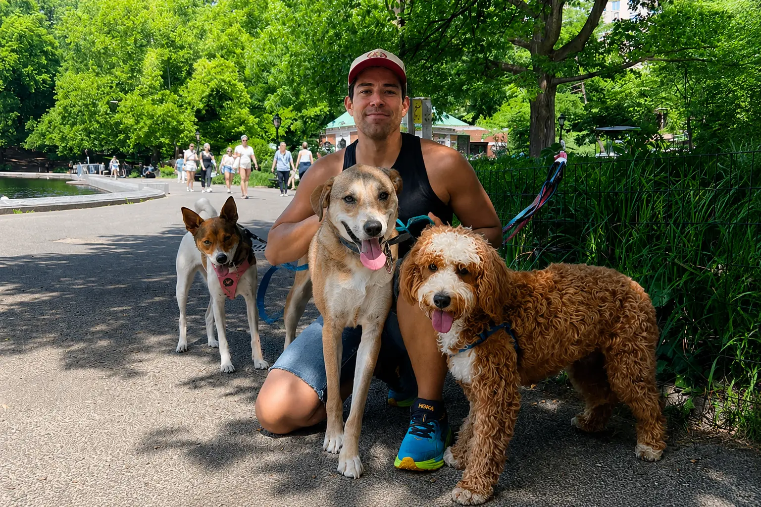 El instructor hoy — libre y exitoso paseando perros en NYC