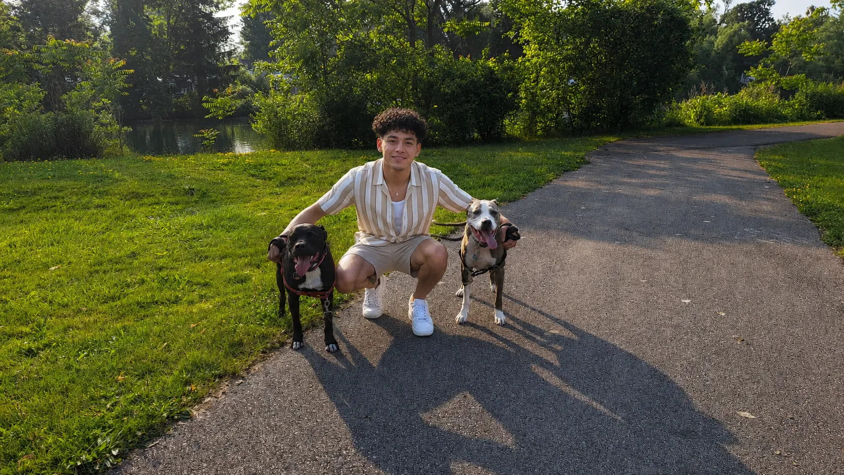 Paseador con perros en Central Park, NYC